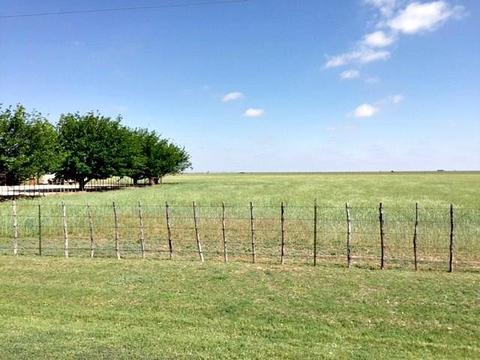 988 County Road 208, Haskell, TX 79521 photo 29