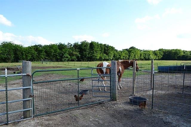 9638 County Road 346, Terrell, TX 75161 photo 30