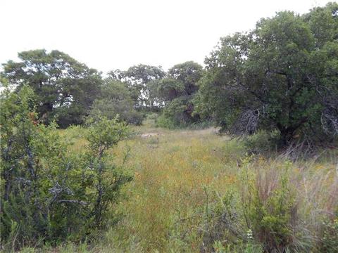 1000 County Road 143, Cisco, TX 76437 photo 19