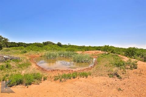 7450 County Road 216, Clyde, TX 79510 photo 10