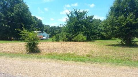 114 Bora Bora Ct, Tool, TX 75143 photo 3