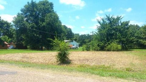 114 Bora Bora Ct, Tool, TX 75143 photo 5