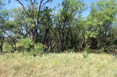 305 S Avenue B E, Haskell, TX 79521 photo 3