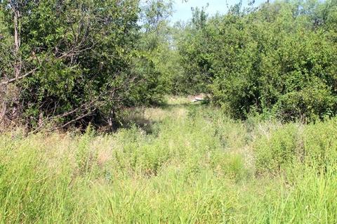 305 S Avenue B E, Haskell, TX 79521 photo 1