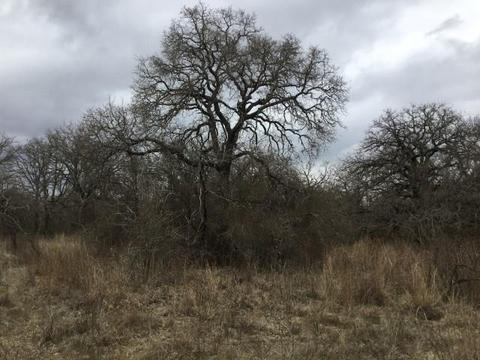 Undisclosed, Gustine, TX 76455 photo 9