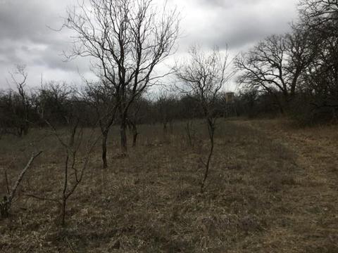Undisclosed, Gustine, TX 76455 photo 12