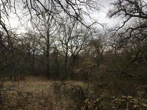 Undisclosed, Gustine, TX 76455 photo 8