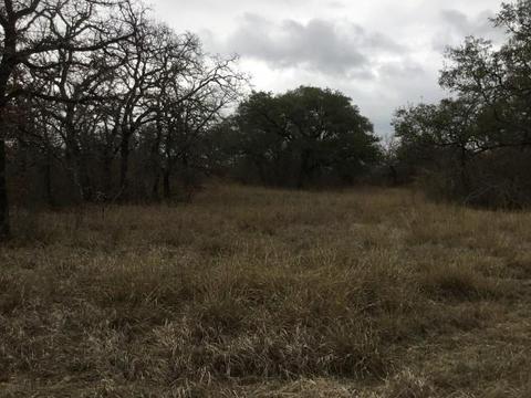 Undisclosed, Gustine, TX 76455 photo 10