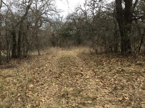 Undisclosed, Gustine, TX 76455 photo 2