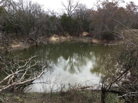 Undisclosed, Gustine, TX 76455 photo 6