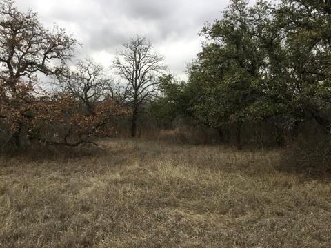 Undisclosed, Gustine, TX 76455 photo 4