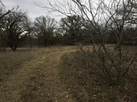 Undisclosed, Gustine, TX 76455 photo 11