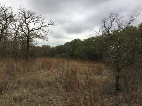 Undisclosed, Gustine, TX 76455 photo 3