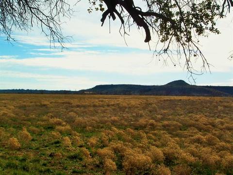 5680 W Hells Gate Dr, Possum Kingdom Lake, TX 76475 photo 20