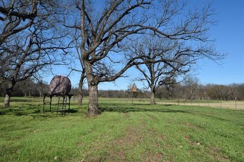 2051 County Road 360, Gustine, TX 76455 photo 35