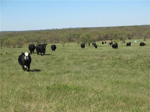 2148 County Rd 103, Comanche, TX 76442 photo 1