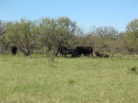 2148 County Rd 103, Comanche, TX 76442 photo 6
