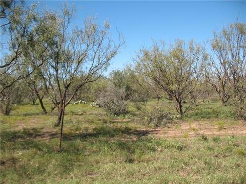 2148 County Rd 103, Comanche, TX 76442 photo 8
