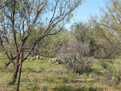 2148 County Rd 103, Comanche, TX 76442 photo 9