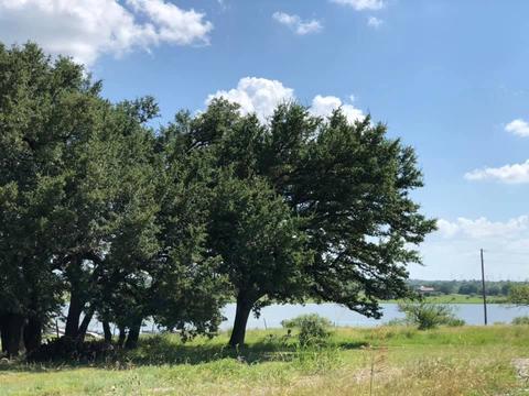 702 Comanche Lake Rd, Comanche, TX 76442 photo 29