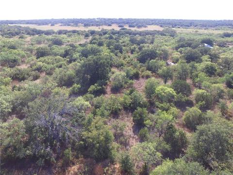 3389 Fm 585, Bangs, TX 76823 photo 5