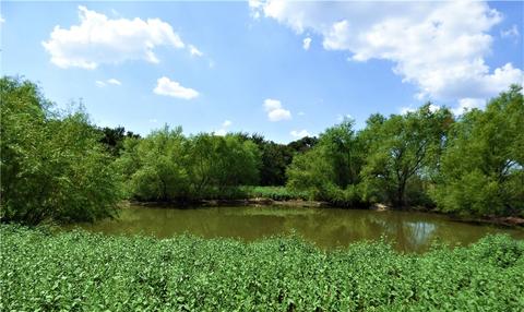 1601 E Loop 254, Ranger, TX 76470 photo 32