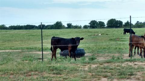 746 Proctor Ln, Sunset, TX 76270 photo 21