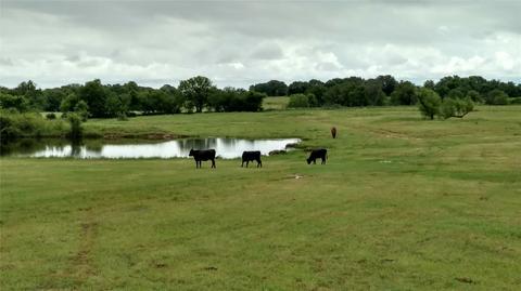746 Proctor Ln, Sunset, TX 76270 photo 2
