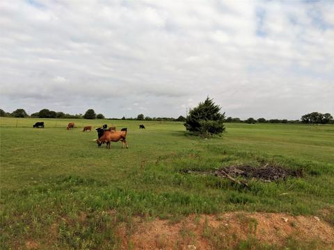 746 Proctor Ln, Sunset, TX 76270 photo 6