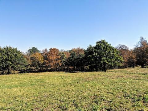 746 Proctor Ln, Sunset, TX 76270 photo 23