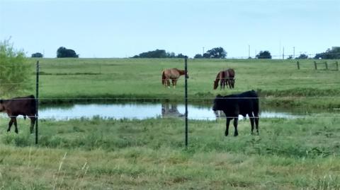 746 Proctor Ln, Sunset, TX 76270 photo 22