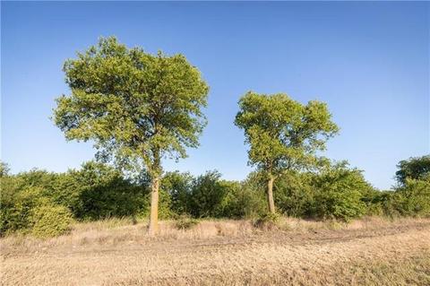 2877 Fm 934, Itasca, TX 76055 photo 4