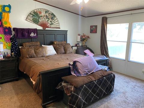 705 Oak Creek Dr, Bangs, TX 76823 photo 9