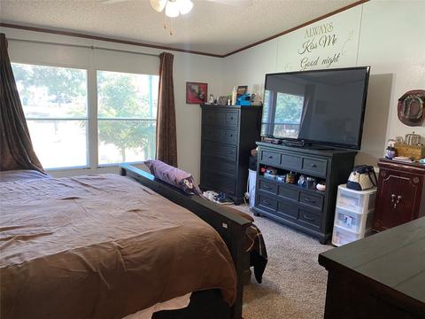 705 Oak Creek Dr, Bangs, TX 76823 photo 17