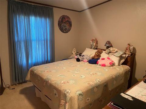 705 Oak Creek Dr, Bangs, TX 76823 photo 14
