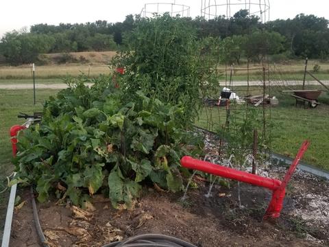 3475 County Road 612, Bangs, TX 76823 photo 17