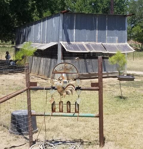 3475 County Road 612, Bangs, TX 76823 photo 31