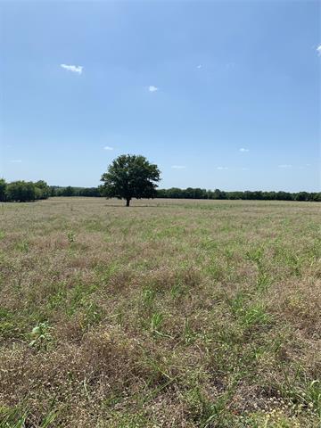 2969 County Road 4065, Ector, TX 75439 photo 2