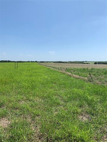 2969 County Road 4065, Ector, TX 75439 photo 9
