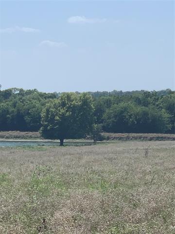 2969 County Road 4065, Ector, TX 75439 photo 3