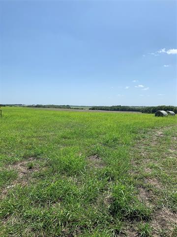 2969 County Road 4065, Ector, TX 75439 photo 8