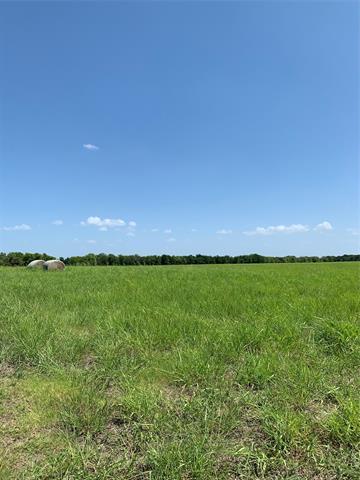 2969 County Road 4065, Ector, TX 75439 photo 10