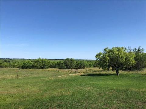 481 County Road 175, Bangs, TX 76823 photo 35