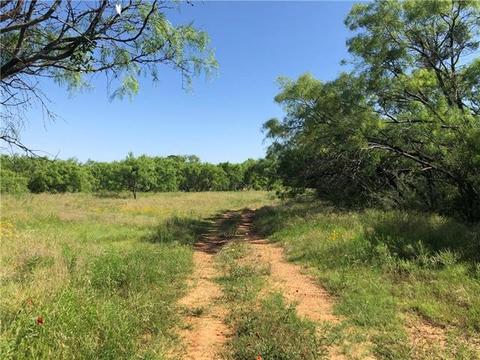 481 County Road 175, Bangs, TX 76823 photo 9