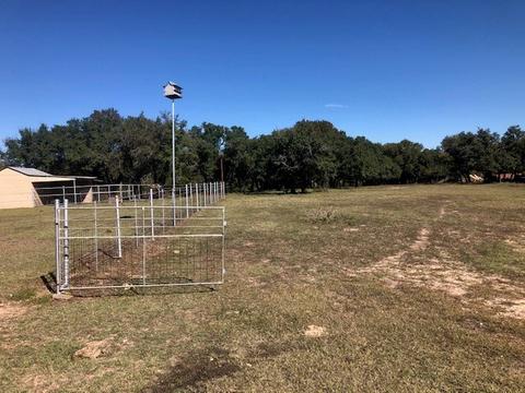 610 E Main, Gustine, TX 76455 photo 8