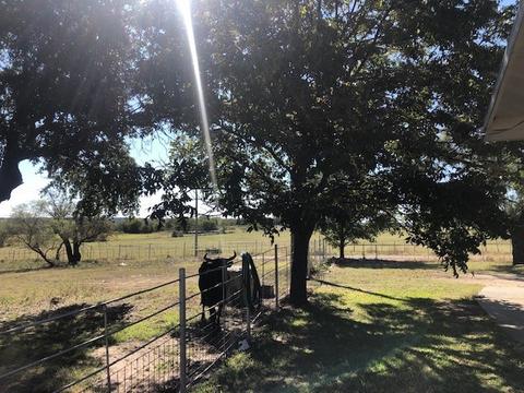 610 E Main, Gustine, TX 76455 photo 12