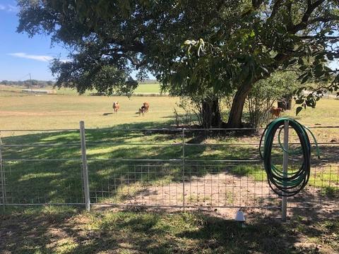610 E Main, Gustine, TX 76455 photo 7