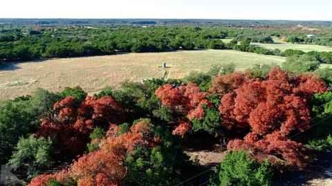 492 County Road 322, Tuscola, TX 79562 photo 3