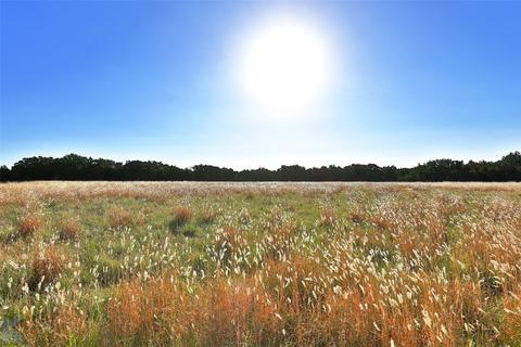 492 County Road 322, Tuscola, TX 79562 photo 36