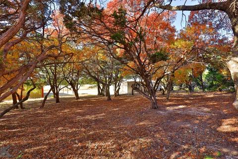 492 County Road 322, Tuscola, TX 79562 photo 12